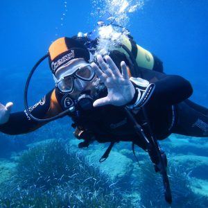 Blue Manta Diving & Aquanautic Club